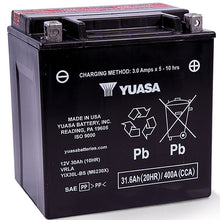 Yuasa Battery YIX30L-BS